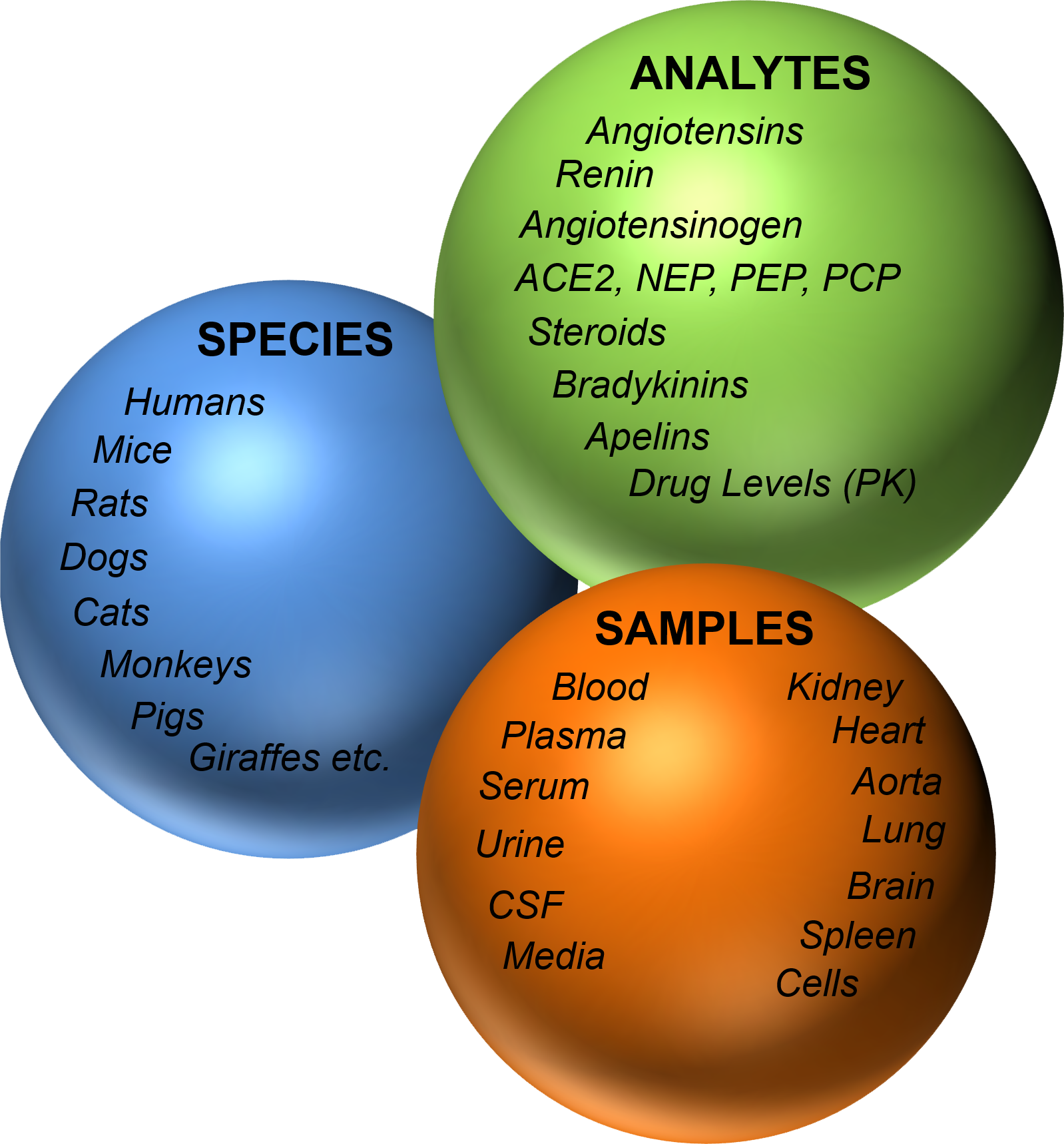 Attoquant Diagnostics Services Overview
